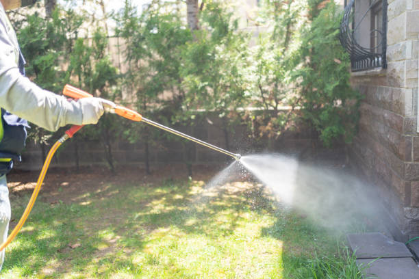 Best Best Pest Control Companies  in Prospect, OH