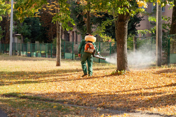 Trusted Prospect, OH Pest Control Experts