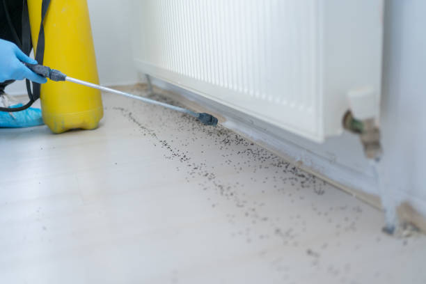 Best Wildlife Control Services  in Prospect, OH